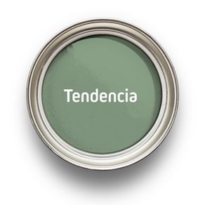 suculenta-tendencia